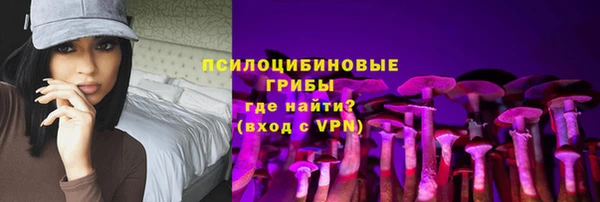 PSILOCYBIN Осинники